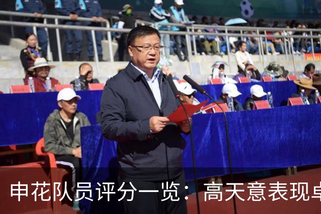 申花队员评分一览：高天意表现卓越，刘诚宇评分偏低